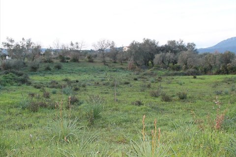 5700m² Land in Corfu, Greece No. 60510 1