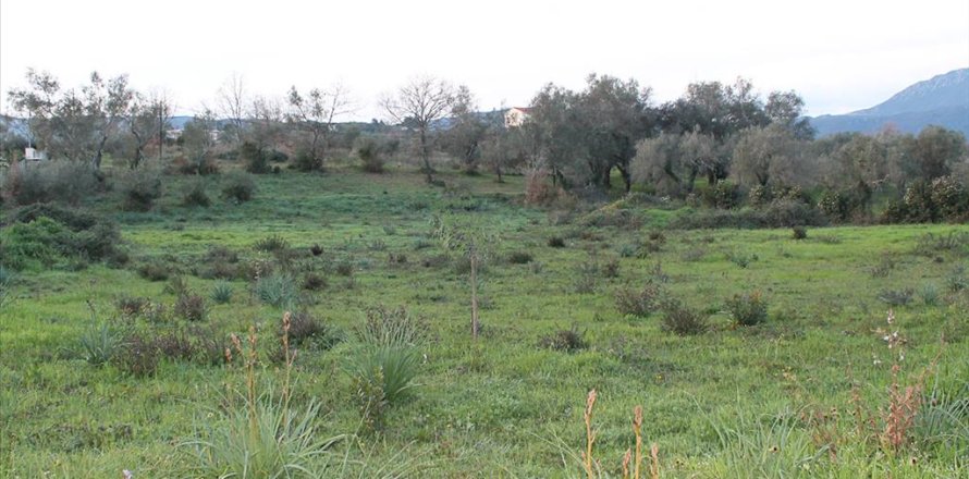 5700m² Land en Corfu, Greece No. 60510