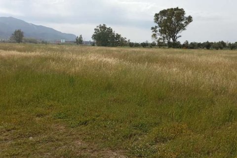 Land in Zakynthos, Greece No. 24522 16