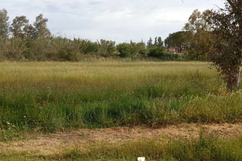 Land in Zakynthos, Greece No. 24522 10