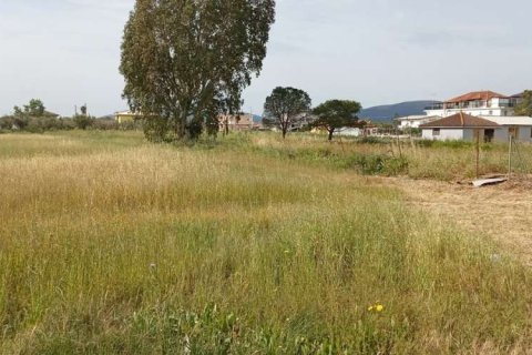 Land en Zakynthos, Greece No. 24522 6