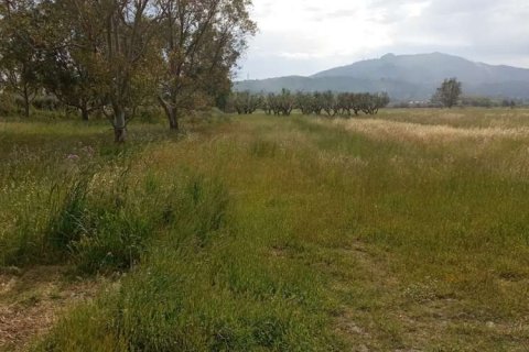 Land in Zakynthos, Greece No. 24522 4