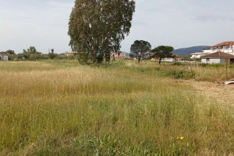 Land in Zakynthos, Greece No. 24522 7