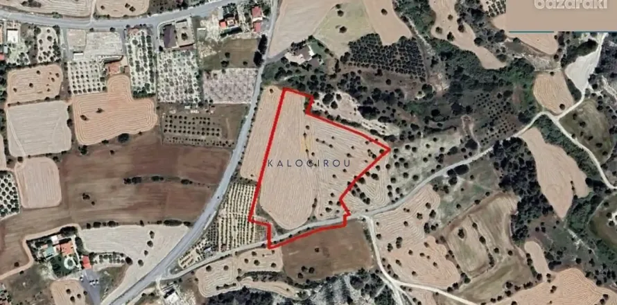 19037m² Land en Anglisides, Cyprus No. 35959