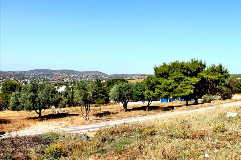 1200m² Land en Koropi, Greece No. 59587 1